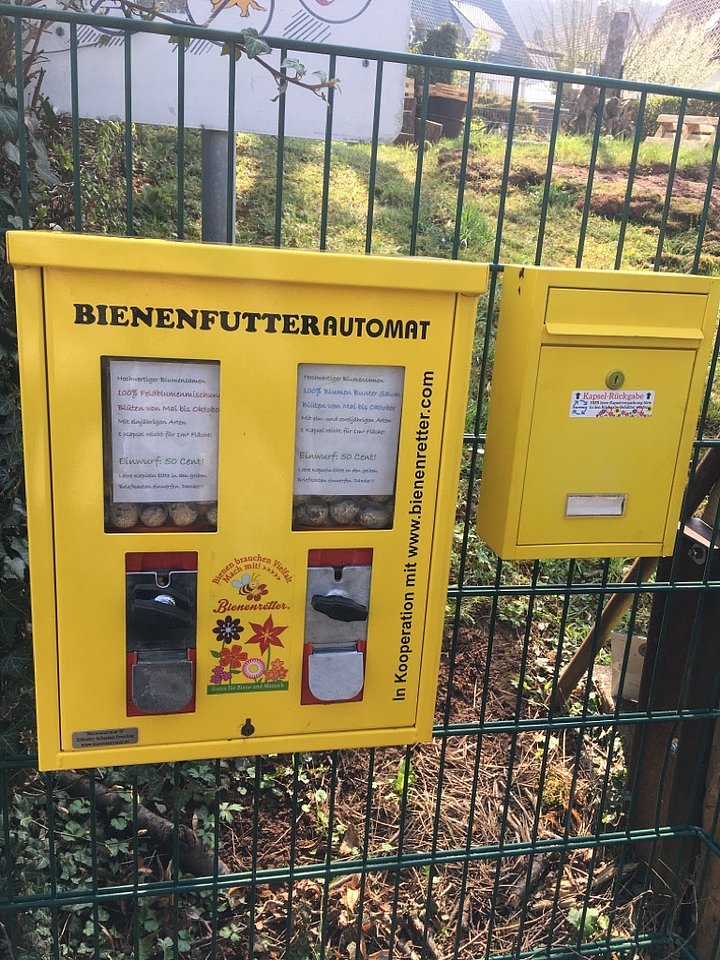 Bienenfutter Automat