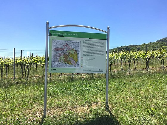 Wein- und Steinlehrpfad Weinbergsböden